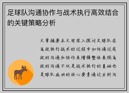足球队沟通协作与战术执行高效结合的关键策略分析